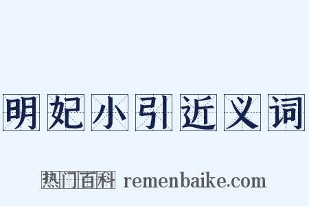 明妃小引近义词是什么意思的图片